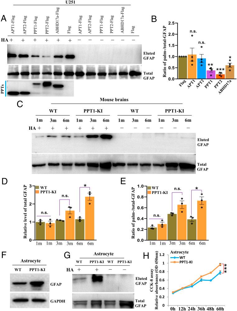 https://cdn.ncbi.nlm.nih.gov/pmc/blobs/7c0d/8020761/53e76342085e/pnas.2022261118fig03.jpg