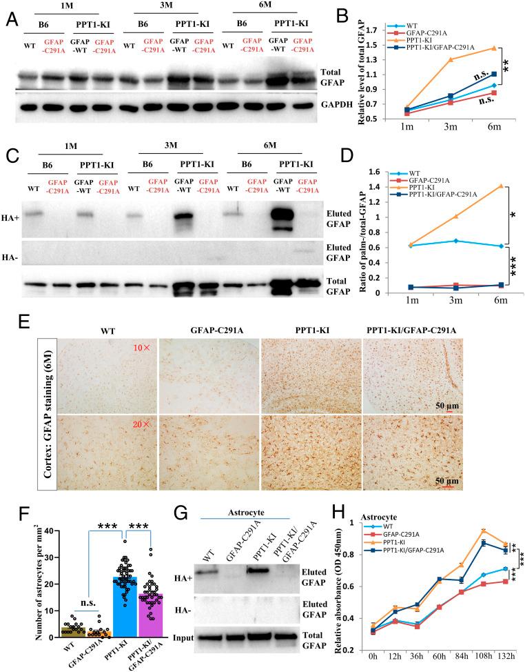 https://cdn.ncbi.nlm.nih.gov/pmc/blobs/7c0d/8020761/a703ed437ebb/pnas.2022261118fig04.jpg