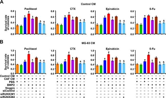 https://cdn.ncbi.nlm.nih.gov/pmc/blobs/7c0e/5346745/c3302e164789/oncotarget-07-79688-g006.jpg