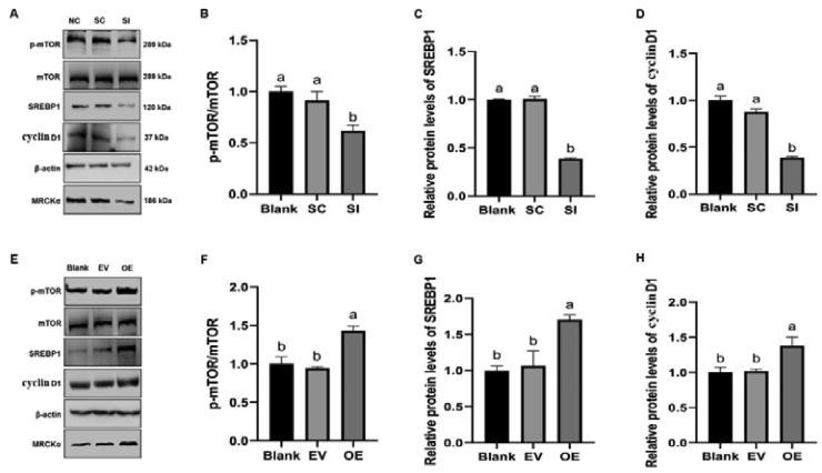 https://cdn.ncbi.nlm.nih.gov/pmc/blobs/7c12/9304597/02968ca9ec65/gr6.jpg