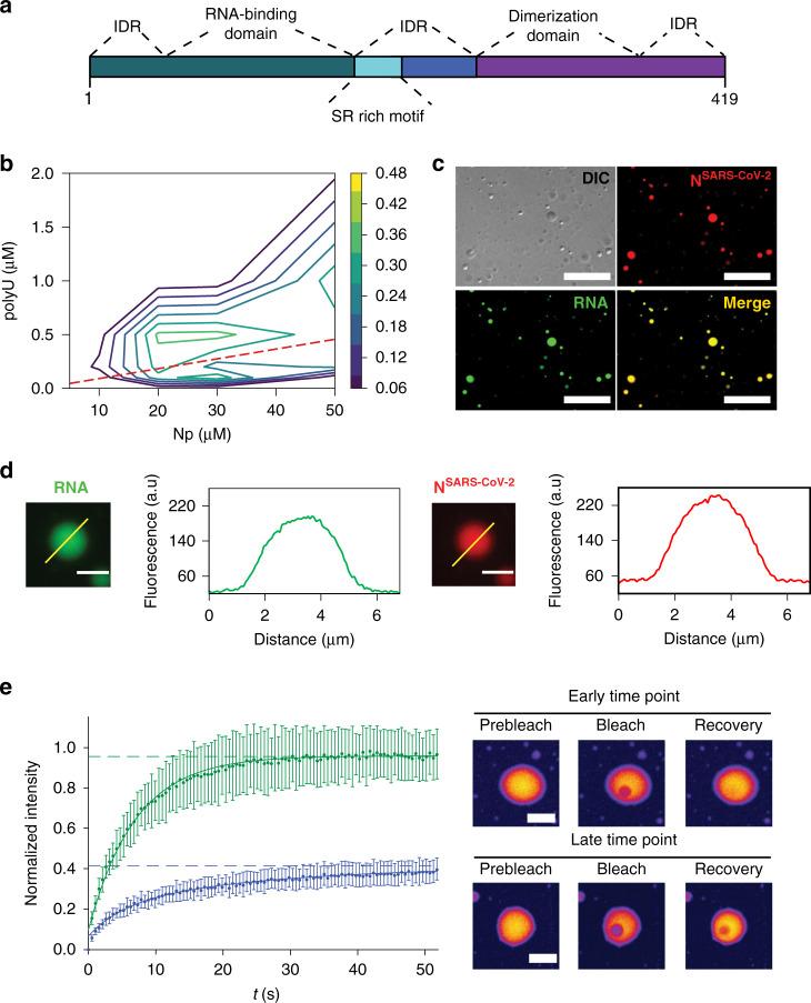 https://cdn.ncbi.nlm.nih.gov/pmc/blobs/7c13/7699647/c85a81241c43/41467_2020_19843_Fig1_HTML.jpg