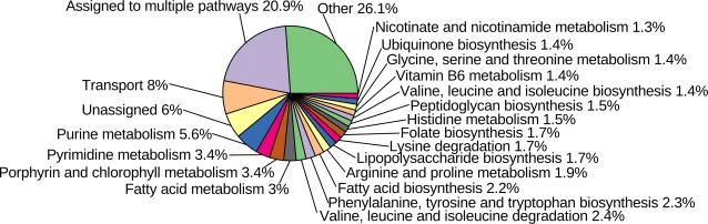 https://cdn.ncbi.nlm.nih.gov/pmc/blobs/7c14/2563689/1bfc83cd9885/pcbi.1000210.g003.jpg