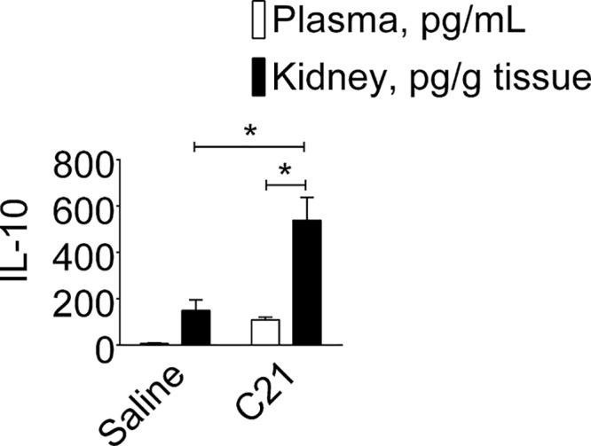 https://cdn.ncbi.nlm.nih.gov/pmc/blobs/7c17/6533357/70142f769074/bsr-39-bsr20190429-g6.jpg