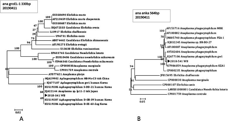 https://cdn.ncbi.nlm.nih.gov/pmc/blobs/7c1b/7325360/5216b15c1309/12879_2020_5170_Fig2_HTML.jpg
