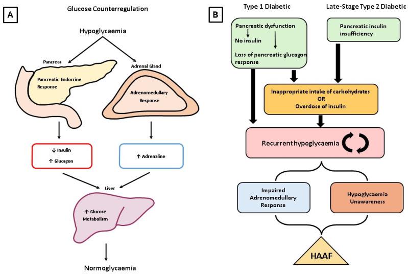 https://cdn.ncbi.nlm.nih.gov/pmc/blobs/7c1d/10890365/46f23ed386e6/metabolites-14-00100-g001.jpg