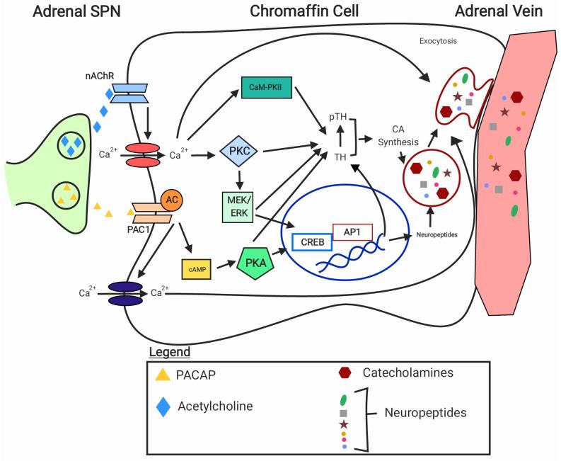 https://cdn.ncbi.nlm.nih.gov/pmc/blobs/7c1d/10890365/6a5f837762c3/metabolites-14-00100-g002.jpg