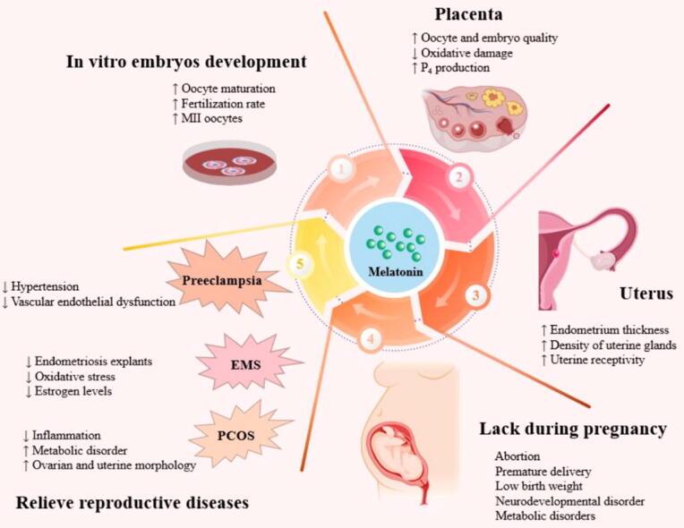 https://cdn.ncbi.nlm.nih.gov/pmc/blobs/7c1e/11976432/7a3ce27502ba/ga1.jpg