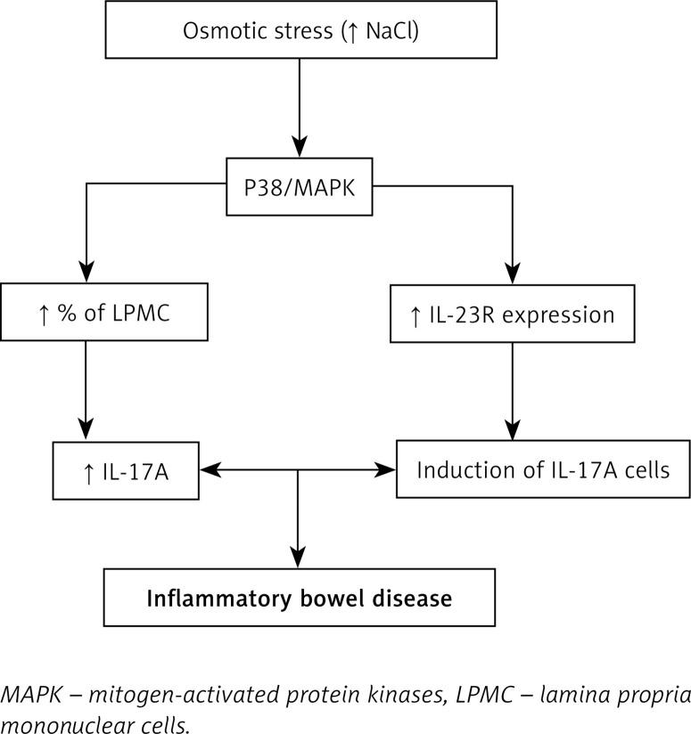 https://cdn.ncbi.nlm.nih.gov/pmc/blobs/7c1e/8924833/0fcf888c3f65/AMS-18-2-116571-g002.jpg