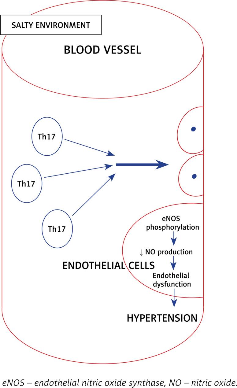 https://cdn.ncbi.nlm.nih.gov/pmc/blobs/7c1e/8924833/5478e61baf15/AMS-18-2-116571-g003.jpg