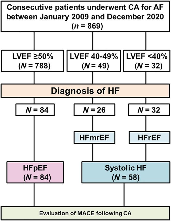 https://cdn.ncbi.nlm.nih.gov/pmc/blobs/7c1e/9715889/ac36713931d6/EHF2-9-3505-g004.jpg