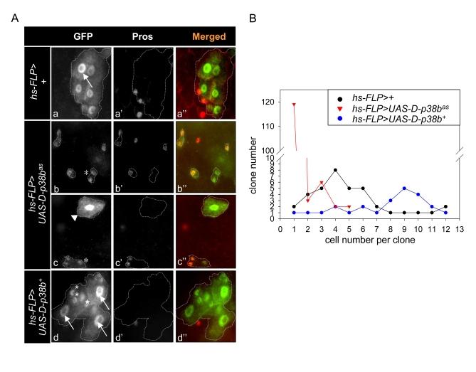 https://cdn.ncbi.nlm.nih.gov/pmc/blobs/7c1f/2806044/93690f422826/aging-01-637-g003.jpg