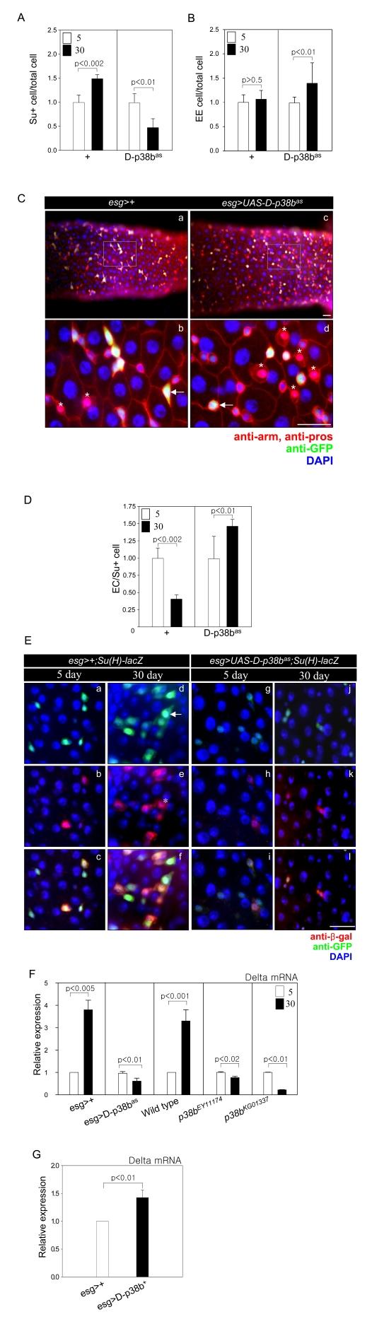 https://cdn.ncbi.nlm.nih.gov/pmc/blobs/7c1f/2806044/e47a3c087383/aging-01-637-g004.jpg