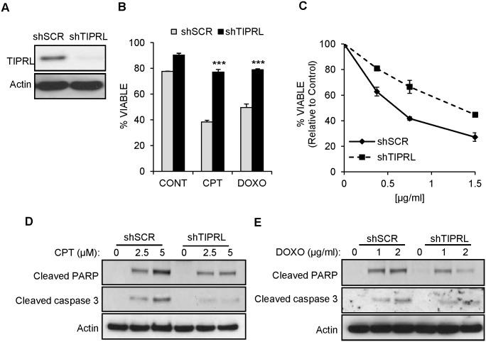 https://cdn.ncbi.nlm.nih.gov/pmc/blobs/7c1f/4696667/3d6f58ff02a7/pone.0145938.g006.jpg