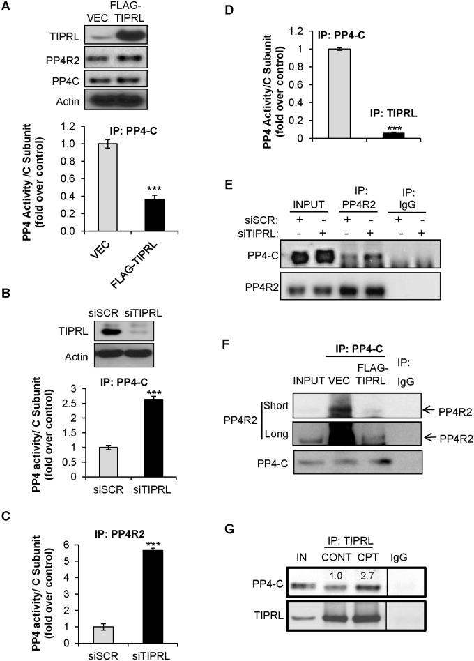 https://cdn.ncbi.nlm.nih.gov/pmc/blobs/7c1f/4696667/a072ebfefd71/pone.0145938.g002.jpg