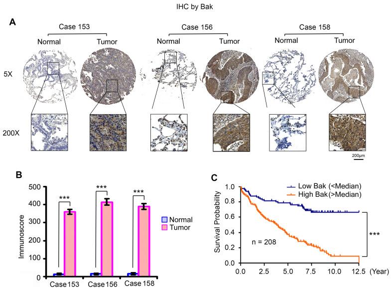 https://cdn.ncbi.nlm.nih.gov/pmc/blobs/7c1f/8344021/06a9d46f2a00/thnov11p8500g010.jpg