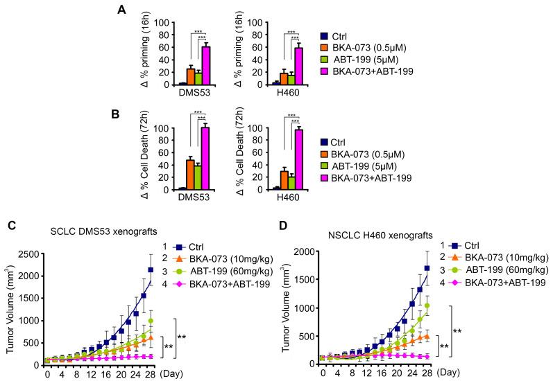 https://cdn.ncbi.nlm.nih.gov/pmc/blobs/7c1f/8344021/54c36c1c55dd/thnov11p8500g009.jpg