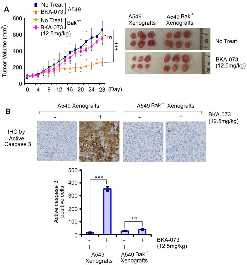 https://cdn.ncbi.nlm.nih.gov/pmc/blobs/7c1f/8344021/6cf5ce98f912/thnov11p8500g006.jpg