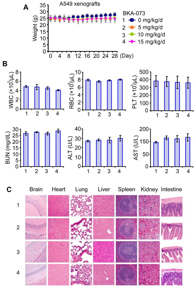 https://cdn.ncbi.nlm.nih.gov/pmc/blobs/7c1f/8344021/89e47ee10bff/thnov11p8500g005.jpg