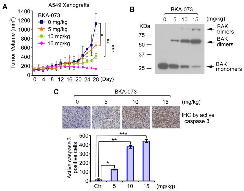 https://cdn.ncbi.nlm.nih.gov/pmc/blobs/7c1f/8344021/c8c56487ee1b/thnov11p8500g004.jpg