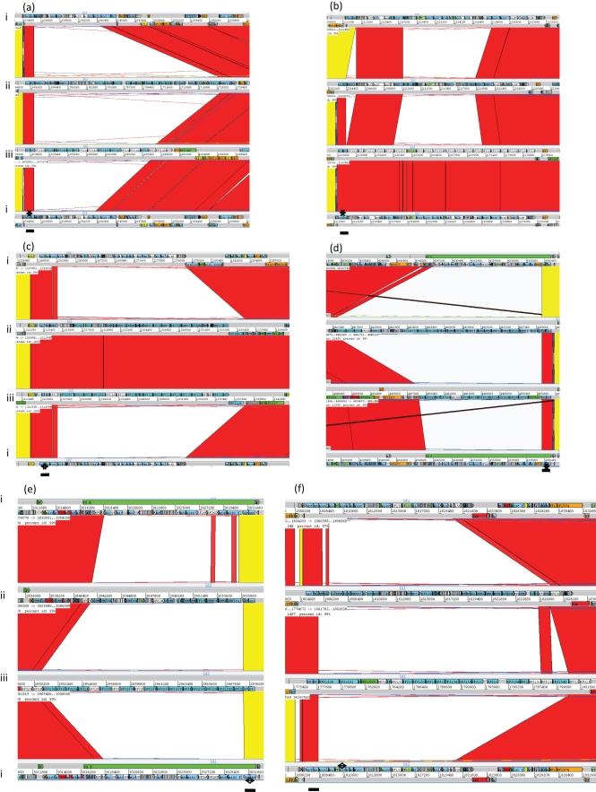 https://cdn.ncbi.nlm.nih.gov/pmc/blobs/7c21/3090145/062263956fa2/3255fig2a.jpg