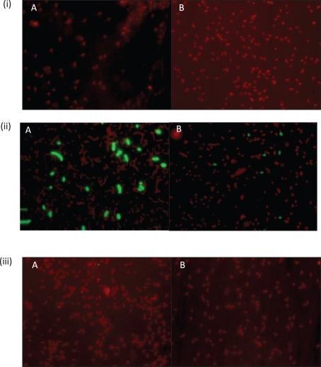 https://cdn.ncbi.nlm.nih.gov/pmc/blobs/7c21/3090145/e68dd7064f4b/3255fig3.jpg