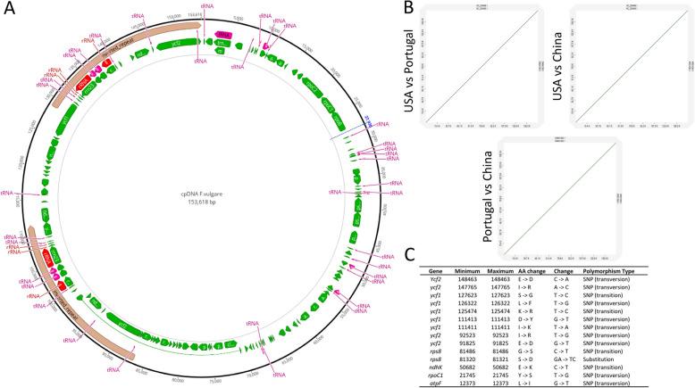 https://cdn.ncbi.nlm.nih.gov/pmc/blobs/7c22/12057180/f38503fee7f5/12870_2025_6608_Fig1_HTML.jpg