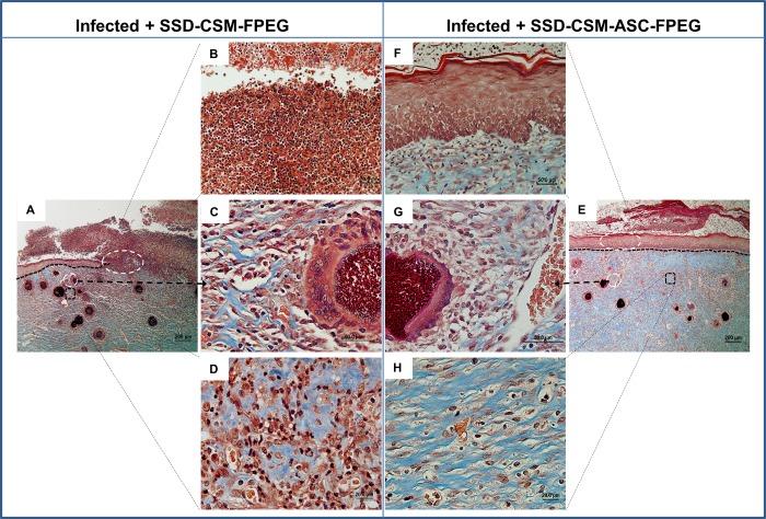 https://cdn.ncbi.nlm.nih.gov/pmc/blobs/7c24/6563979/3682d615f693/pone.0217965.g007.jpg