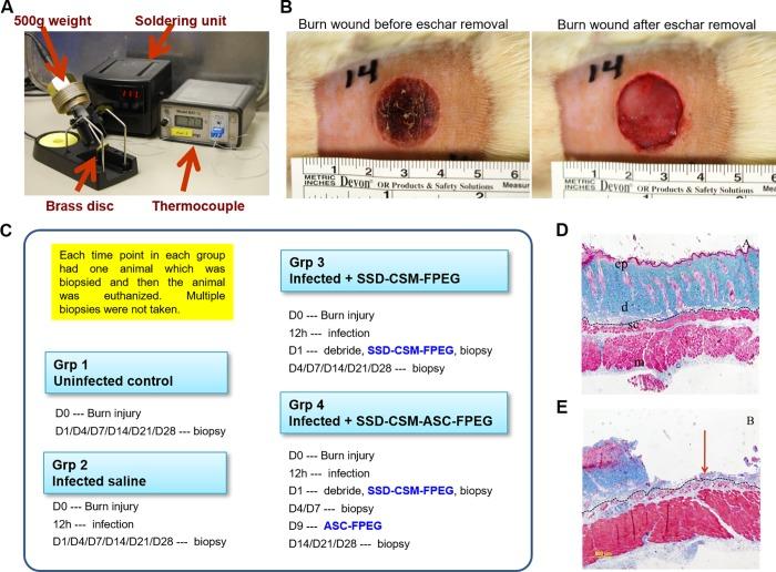 https://cdn.ncbi.nlm.nih.gov/pmc/blobs/7c24/6563979/954077cfbacd/pone.0217965.g001.jpg