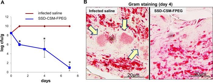 https://cdn.ncbi.nlm.nih.gov/pmc/blobs/7c24/6563979/9ea3e94b77f9/pone.0217965.g002.jpg