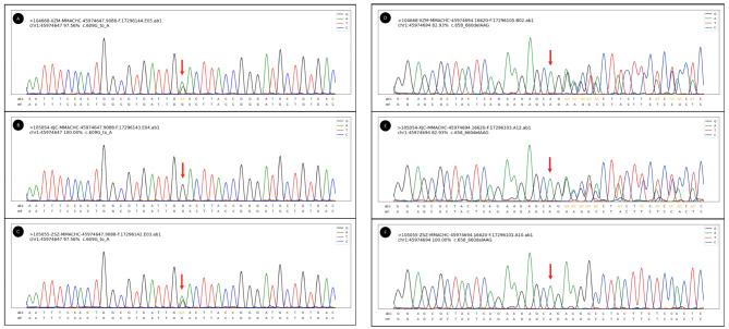 https://cdn.ncbi.nlm.nih.gov/pmc/blobs/7c25/11465495/94a1087e6d7d/12882_2024_3774_Fig1_HTML.jpg