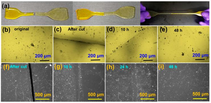 https://cdn.ncbi.nlm.nih.gov/pmc/blobs/7c25/8468103/6df80bee515a/polymers-13-03089-g007.jpg