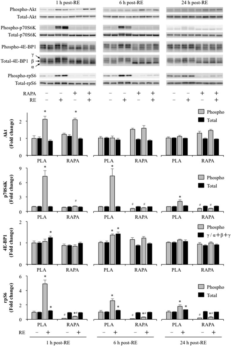 https://cdn.ncbi.nlm.nih.gov/pmc/blobs/7c26/4977552/6baed5fe3602/srep31142-f1.jpg