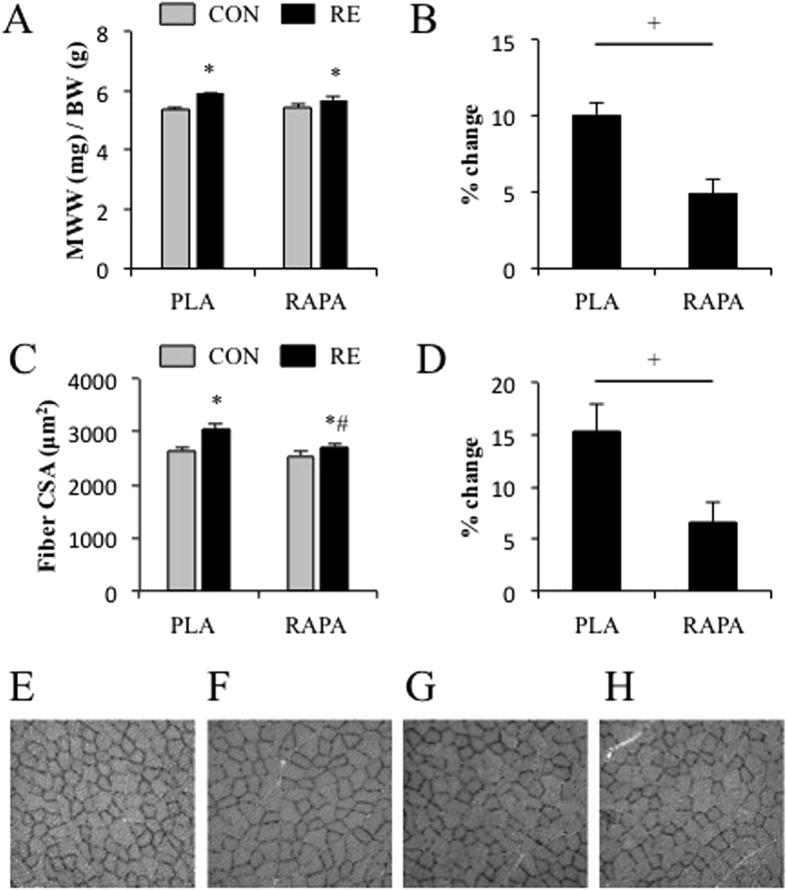 https://cdn.ncbi.nlm.nih.gov/pmc/blobs/7c26/4977552/aff0b1e4219a/srep31142-f7.jpg