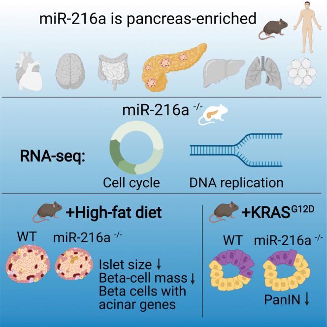 https://cdn.ncbi.nlm.nih.gov/pmc/blobs/7c29/8606901/32a4f2919ba9/fx1.jpg