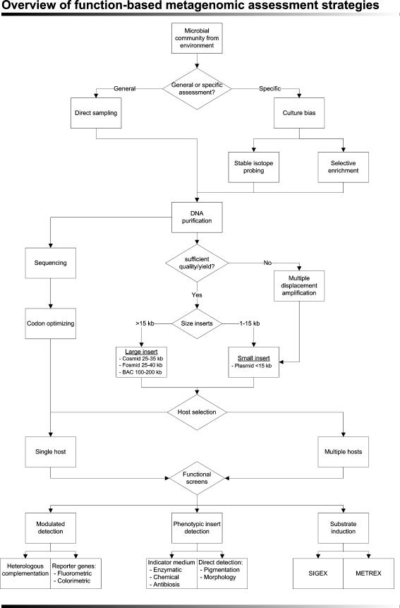 https://cdn.ncbi.nlm.nih.gov/pmc/blobs/7c2a/3264863/a4115f40fd1f/253_2011_3804_Fig1_HTML.jpg