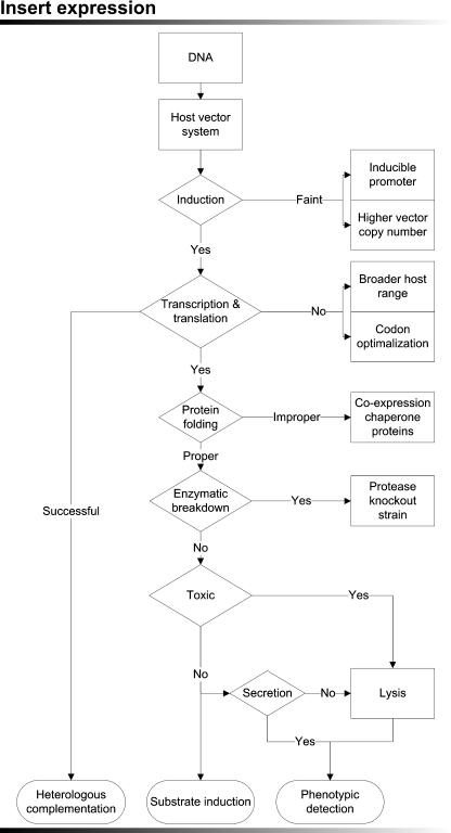 https://cdn.ncbi.nlm.nih.gov/pmc/blobs/7c2a/3264863/ff4dbe6d10e7/253_2011_3804_Fig2_HTML.jpg