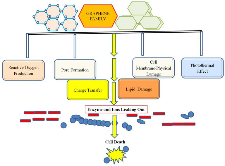 https://cdn.ncbi.nlm.nih.gov/pmc/blobs/7c2a/9694244/2fee8f8b8401/nanomaterials-12-04002-g005.jpg