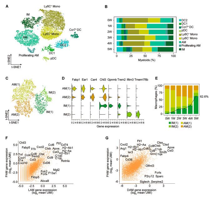 https://cdn.ncbi.nlm.nih.gov/pmc/blobs/7c2d/10845524/3f39af7dac79/12931_2024_2709_Fig2_HTML.jpg