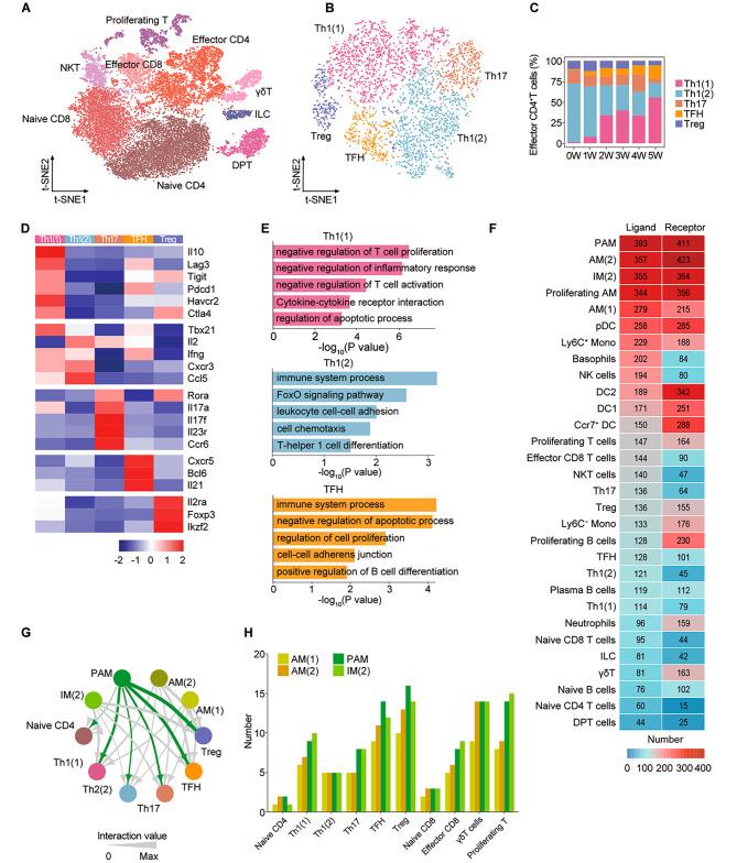 https://cdn.ncbi.nlm.nih.gov/pmc/blobs/7c2d/10845524/8066098464c2/12931_2024_2709_Fig4_HTML.jpg