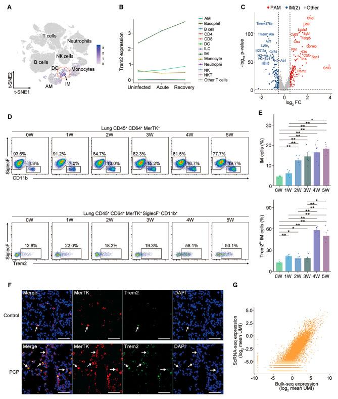 https://cdn.ncbi.nlm.nih.gov/pmc/blobs/7c2d/10845524/93d393498619/12931_2024_2709_Fig5_HTML.jpg