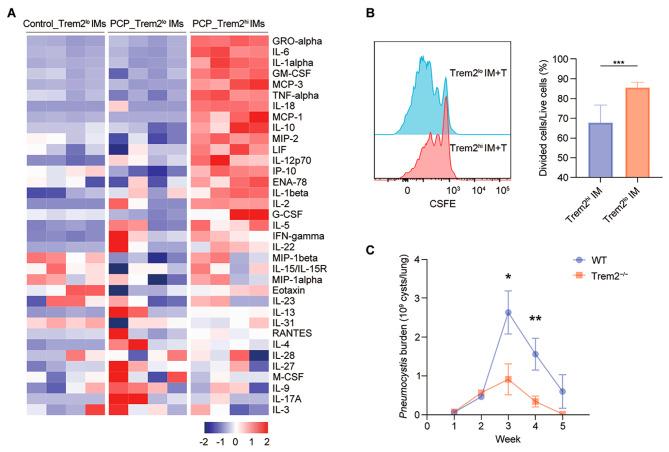 https://cdn.ncbi.nlm.nih.gov/pmc/blobs/7c2d/10845524/b8e9f85d5bde/12931_2024_2709_Fig6_HTML.jpg