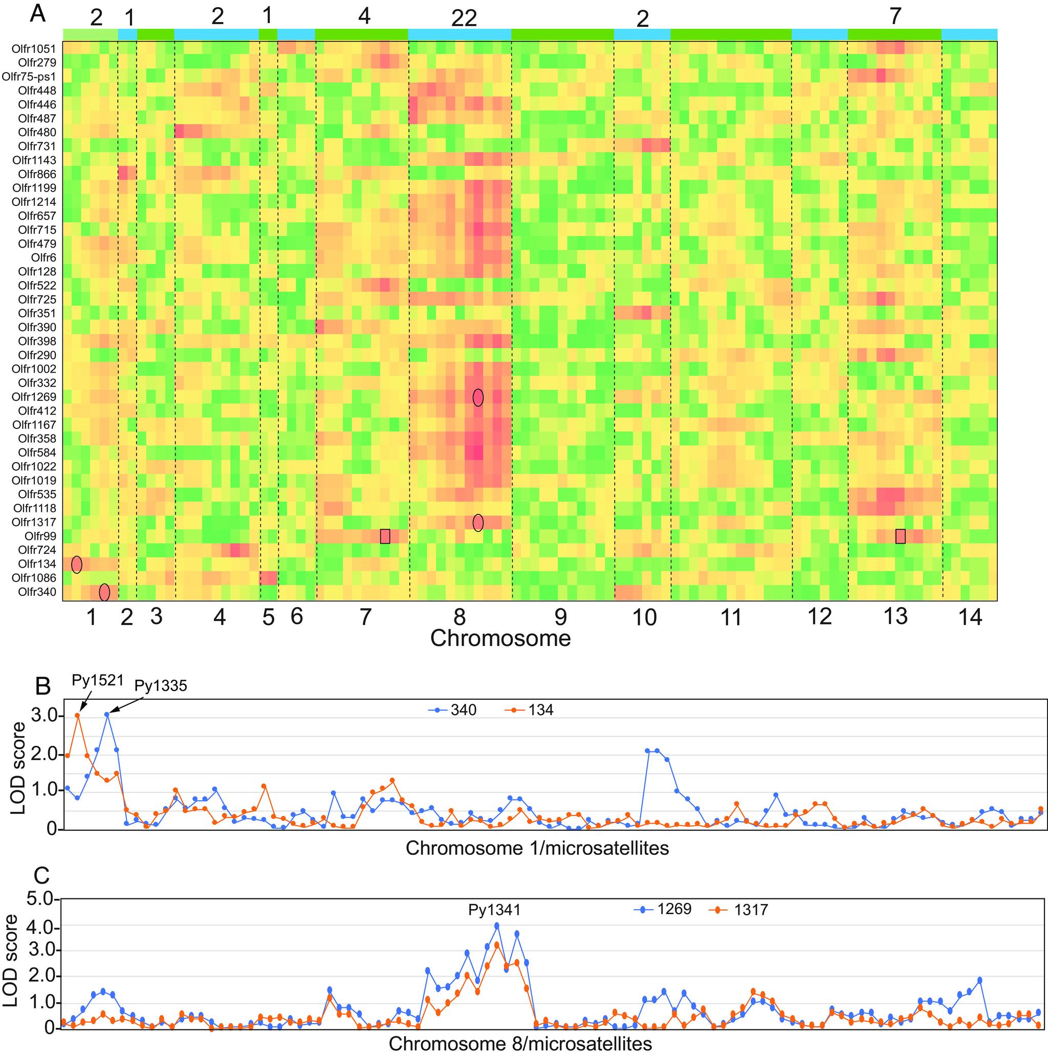 https://cdn.ncbi.nlm.nih.gov/pmc/blobs/7c2d/11161801/9fc5af46507b/pnas.2403796121fig01.jpg