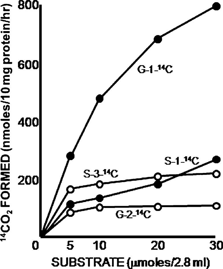 https://cdn.ncbi.nlm.nih.gov/pmc/blobs/7c2d/3666648/38de39f489aa/pjab-84-246f4.jpg