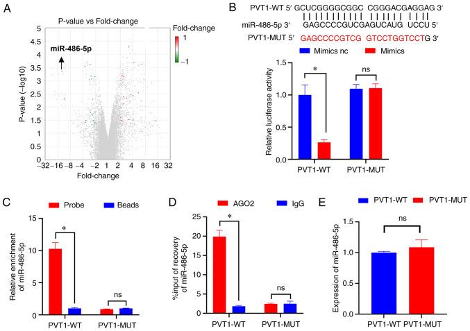 https://cdn.ncbi.nlm.nih.gov/pmc/blobs/7c2d/9260730/f43b1a831d50/ol-24-02-13400-g02.jpg