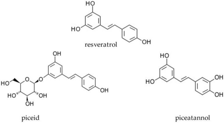 https://cdn.ncbi.nlm.nih.gov/pmc/blobs/7c2e/8431402/03a39e101466/ijms-22-09511-g001.jpg