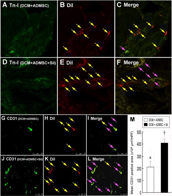 https://cdn.ncbi.nlm.nih.gov/pmc/blobs/7c2f/2956711/10ee56830bcf/1479-5876-8-88-1.jpg