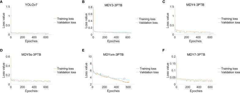 https://cdn.ncbi.nlm.nih.gov/pmc/blobs/7c30/10570925/d2137f6987a1/fpls-14-1199473-g013.jpg