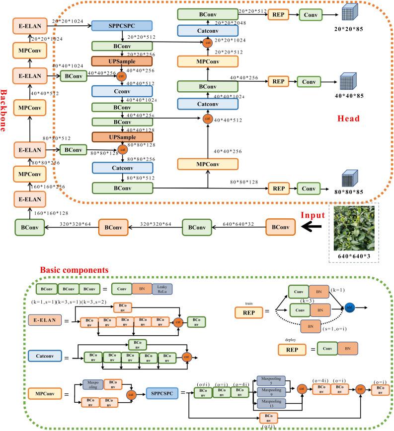 https://cdn.ncbi.nlm.nih.gov/pmc/blobs/7c30/10570925/ff39fcd307a4/fpls-14-1199473-g003.jpg