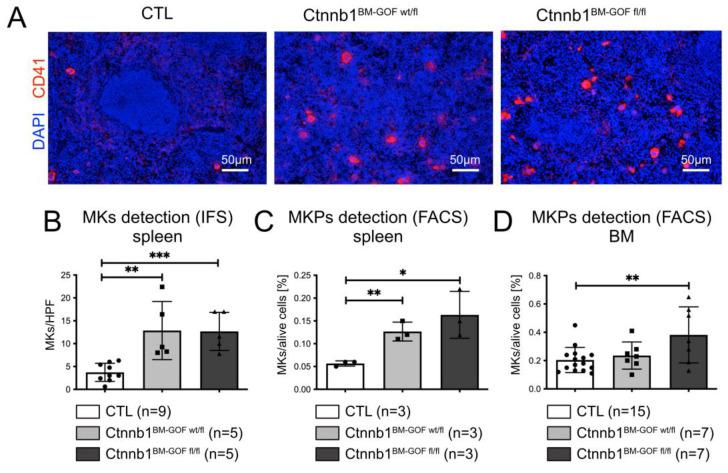 https://cdn.ncbi.nlm.nih.gov/pmc/blobs/7c31/10706863/6be68f041dfa/cells-12-02765-g002.jpg