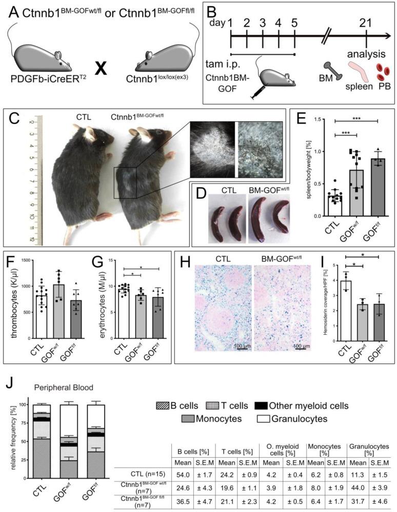 https://cdn.ncbi.nlm.nih.gov/pmc/blobs/7c31/10706863/c9673663702b/cells-12-02765-g001.jpg